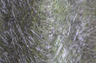 Netherbrough fibreglass roof work